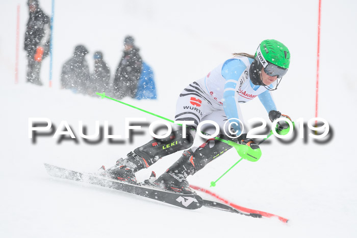 FIS  NJC Slalom Damen 26.01.2019
