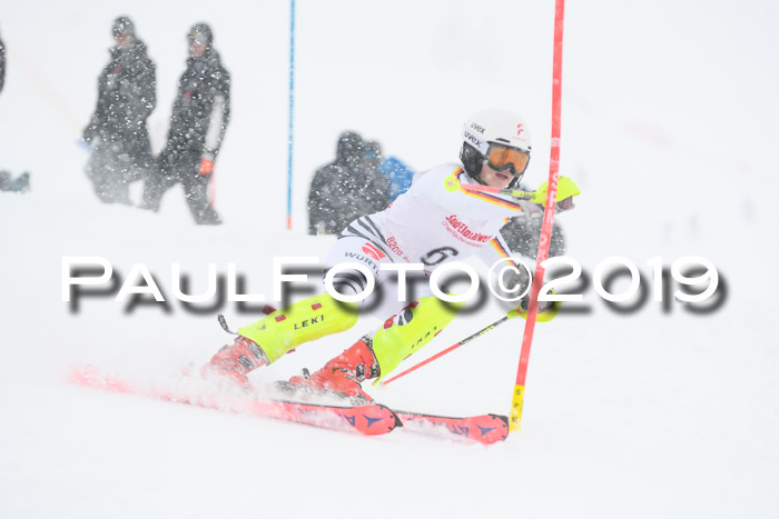 FIS  NJC Slalom Damen 26.01.2019