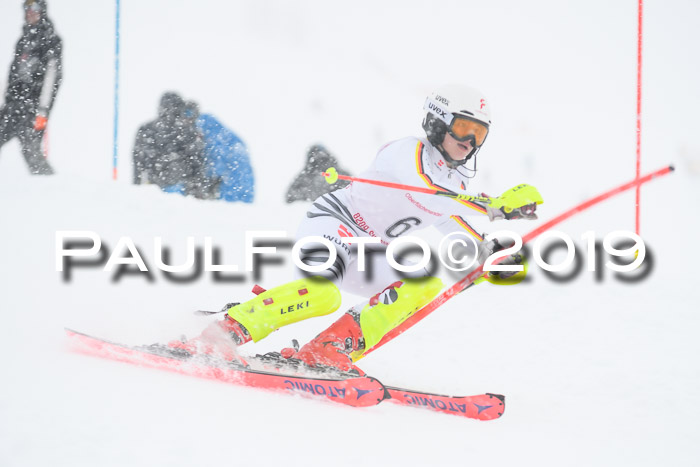 FIS  NJC Slalom Damen 26.01.2019