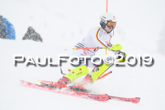 FIS  NJC Slalom Damen 26.01.2019