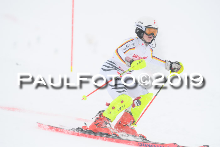 FIS  NJC Slalom Damen 26.01.2019