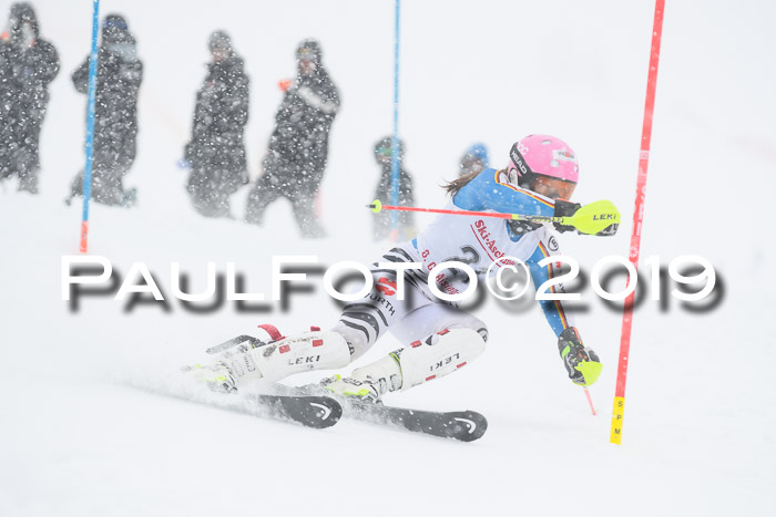 FIS  NJC Slalom Damen 26.01.2019