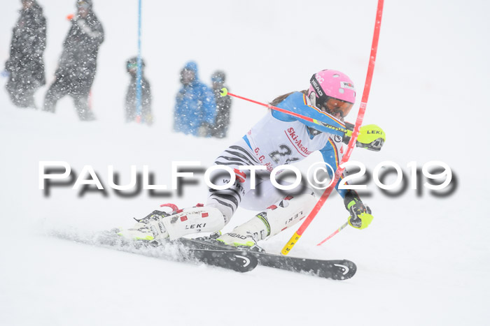 FIS  NJC Slalom Damen 26.01.2019