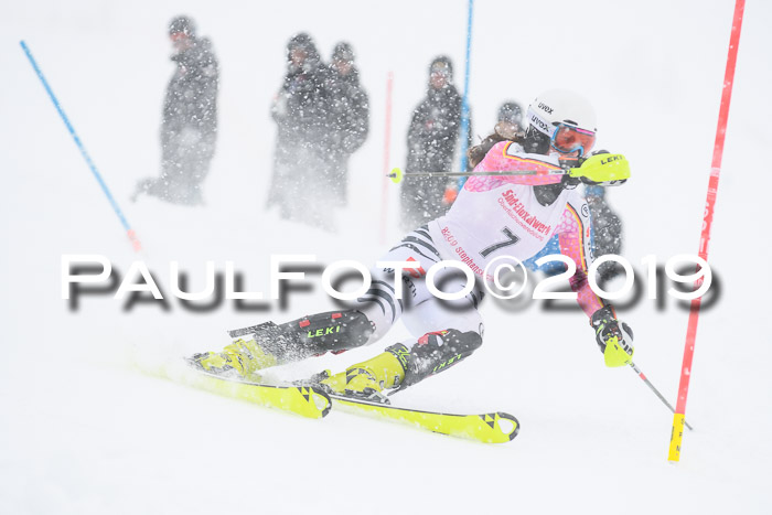 FIS  NJC Slalom Damen 26.01.2019