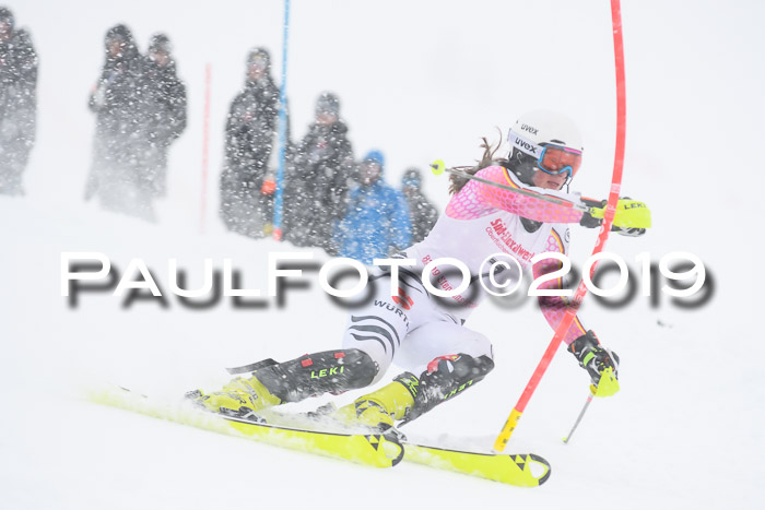 FIS  NJC Slalom Damen 26.01.2019