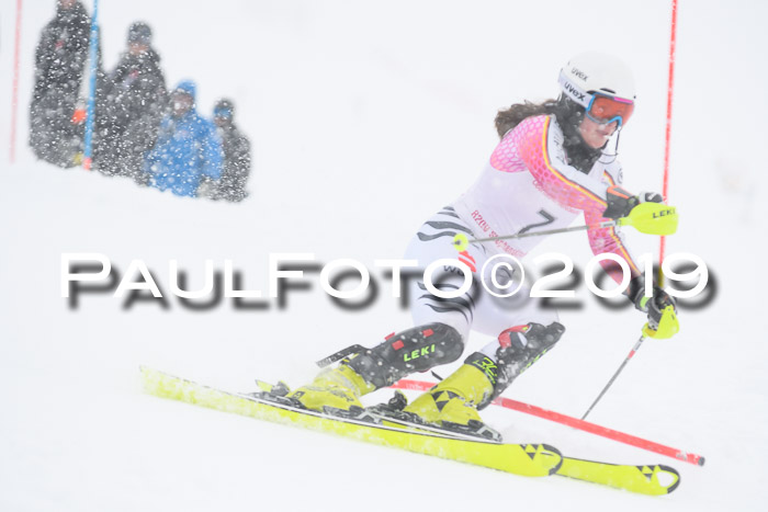 FIS  NJC Slalom Damen 26.01.2019