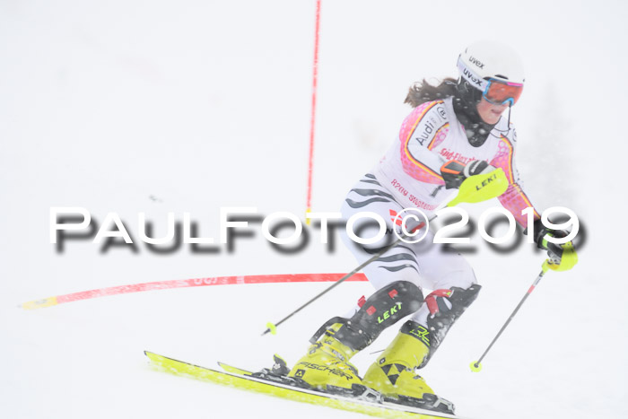 FIS  NJC Slalom Damen 26.01.2019