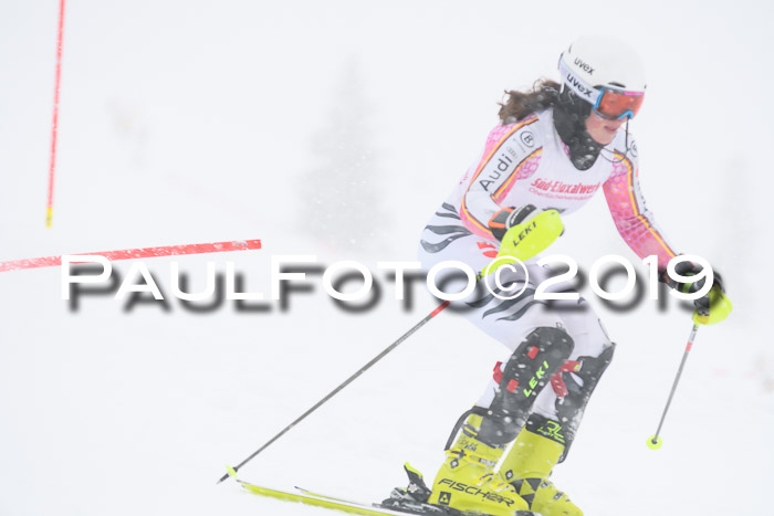 FIS  NJC Slalom Damen 26.01.2019