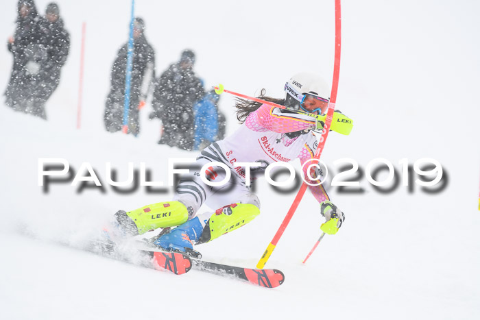FIS  NJC Slalom Damen 26.01.2019