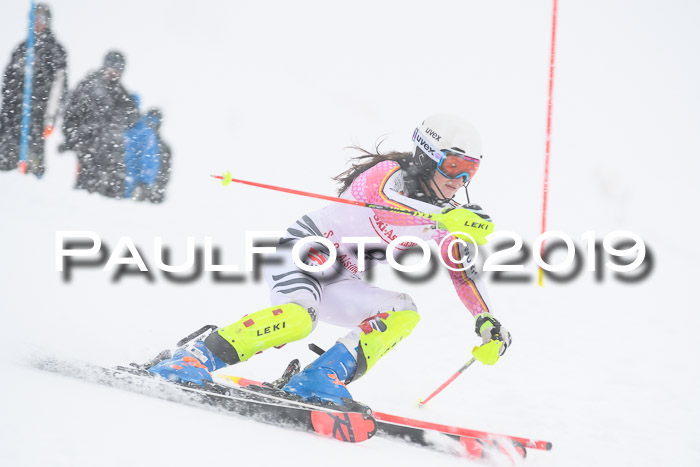 FIS  NJC Slalom Damen 26.01.2019
