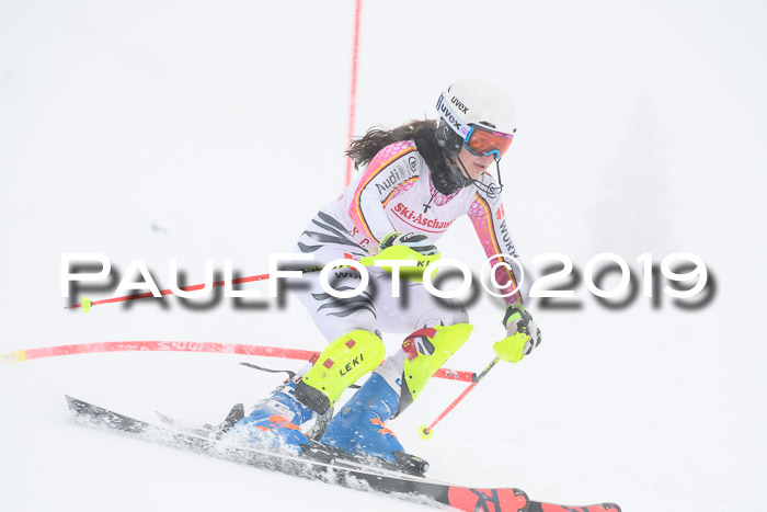 FIS  NJC Slalom Damen 26.01.2019
