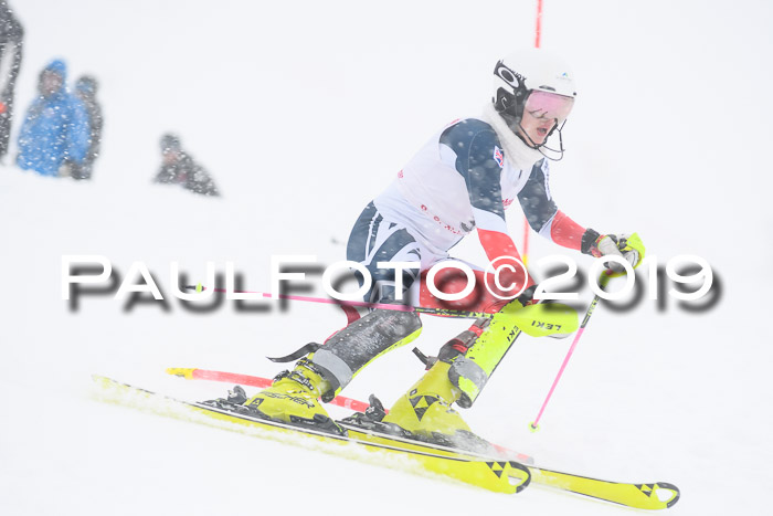 FIS  NJC Slalom Damen 26.01.2019