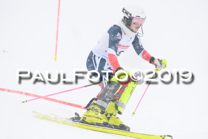 FIS  NJC Slalom Damen 26.01.2019