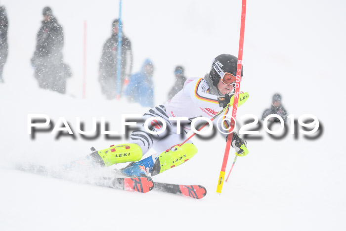 FIS  NJC Slalom Damen 26.01.2019