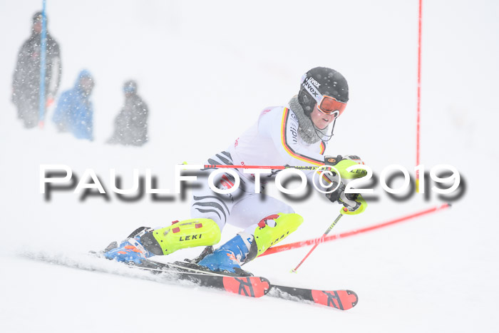 FIS  NJC Slalom Damen 26.01.2019