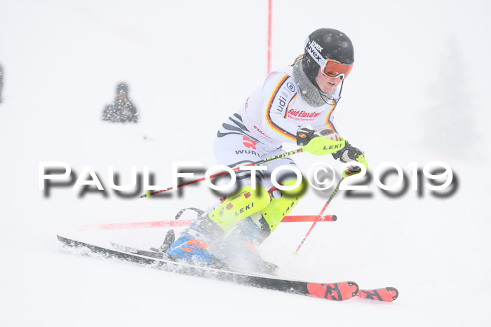 FIS  NJC Slalom Damen 26.01.2019