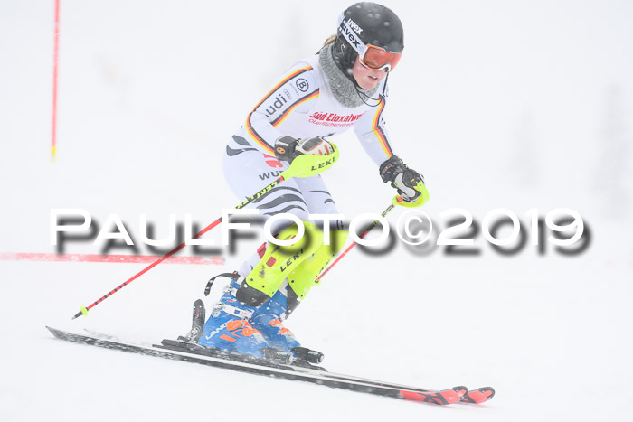 FIS  NJC Slalom Damen 26.01.2019