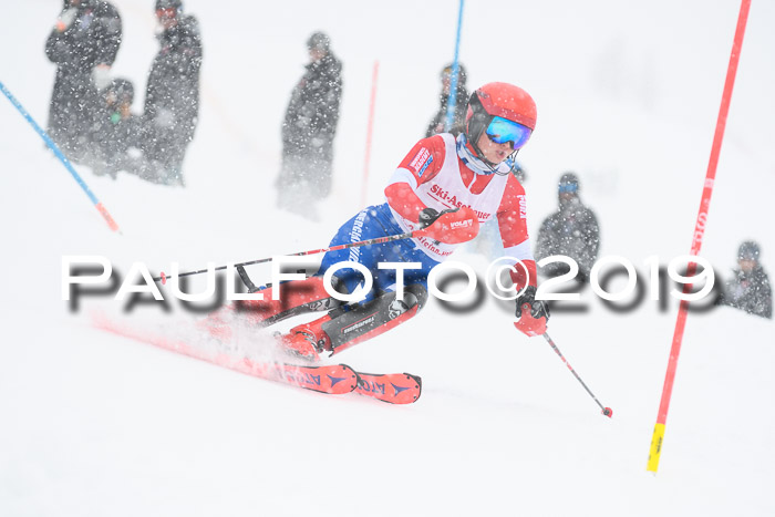 FIS  NJC Slalom Damen 26.01.2019