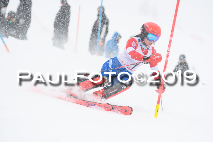 FIS  NJC Slalom Damen 26.01.2019