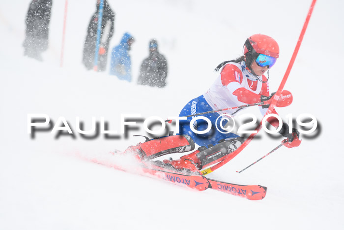 FIS  NJC Slalom Damen 26.01.2019