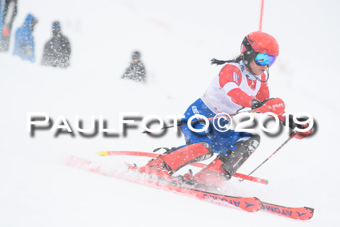 FIS  NJC Slalom Damen 26.01.2019