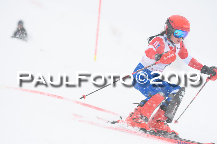 FIS  NJC Slalom Damen 26.01.2019