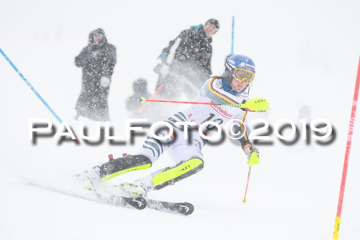 FIS  NJC Slalom Damen 26.01.2019