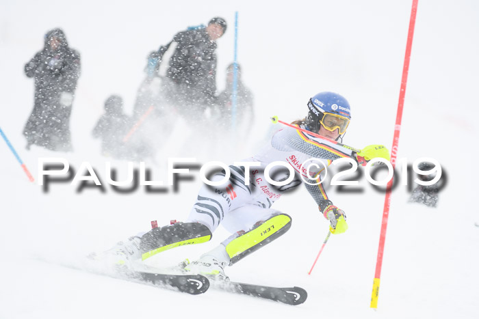FIS  NJC Slalom Damen 26.01.2019