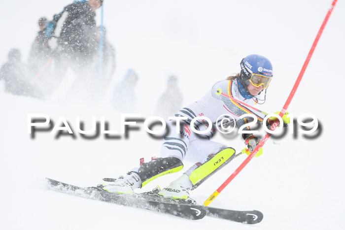 FIS  NJC Slalom Damen 26.01.2019