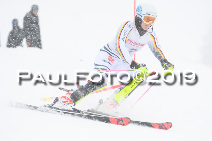 FIS  NJC Slalom Damen 26.01.2019