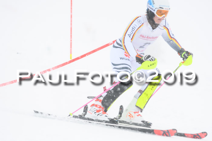 FIS  NJC Slalom Damen 26.01.2019