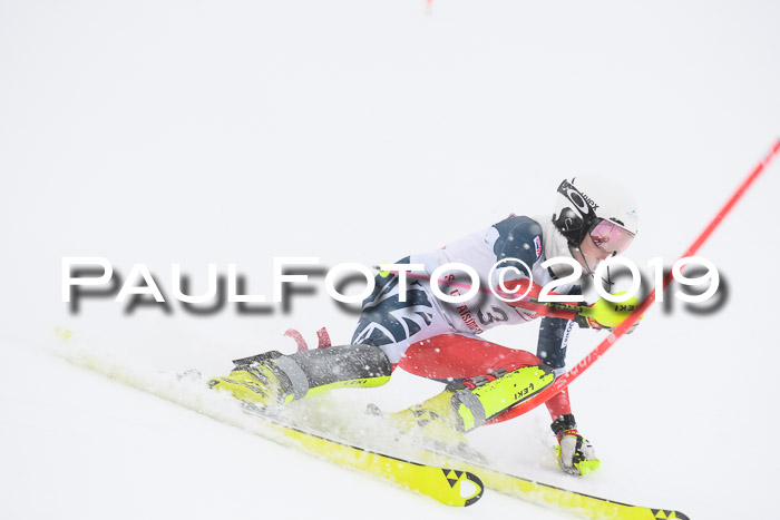 FIS  NJC Slalom Damen 26.01.2019