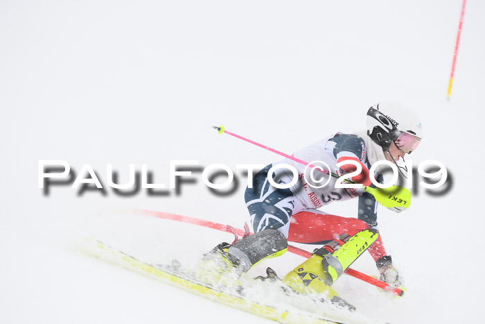 FIS  NJC Slalom Damen 26.01.2019