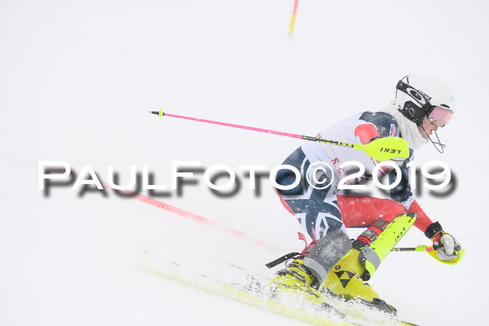 FIS  NJC Slalom Damen 26.01.2019