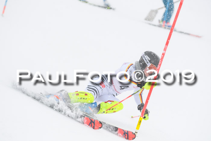 FIS  NJC Slalom Damen 26.01.2019