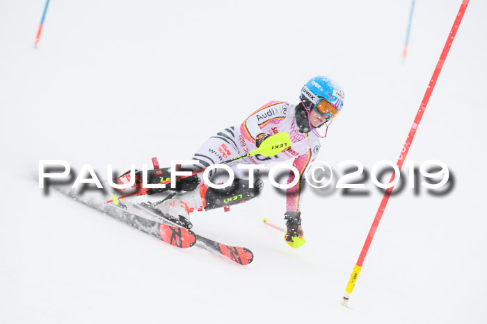 FIS  NJC Slalom Damen 26.01.2019