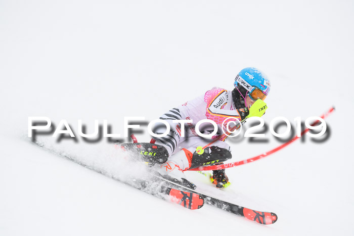 FIS  NJC Slalom Damen 26.01.2019