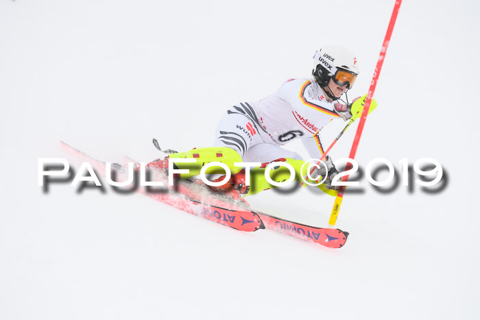 FIS  NJC Slalom Damen 26.01.2019