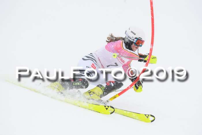 FIS  NJC Slalom Damen 26.01.2019