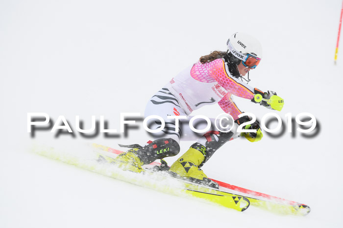 FIS  NJC Slalom Damen 26.01.2019