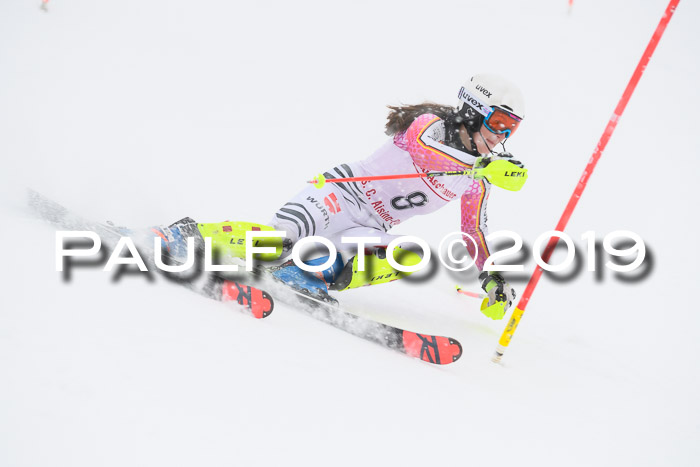 FIS  NJC Slalom Damen 26.01.2019