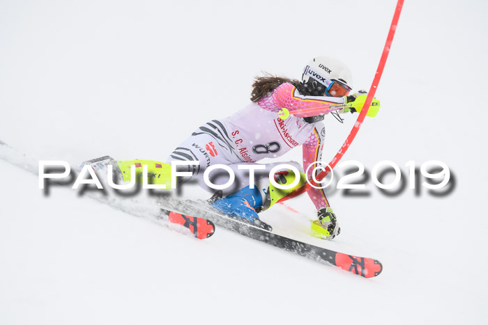 FIS  NJC Slalom Damen 26.01.2019