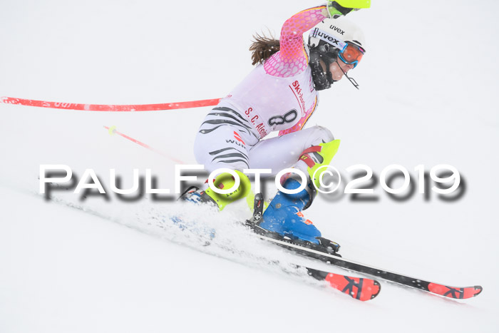 FIS  NJC Slalom Damen 26.01.2019