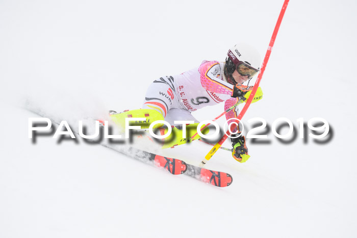 FIS  NJC Slalom Damen 26.01.2019