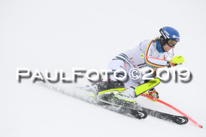 FIS  NJC Slalom Damen 26.01.2019