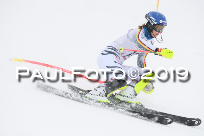 FIS  NJC Slalom Damen 26.01.2019