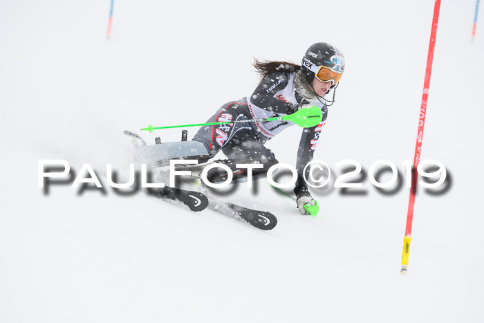 FIS  NJC Slalom Damen 26.01.2019