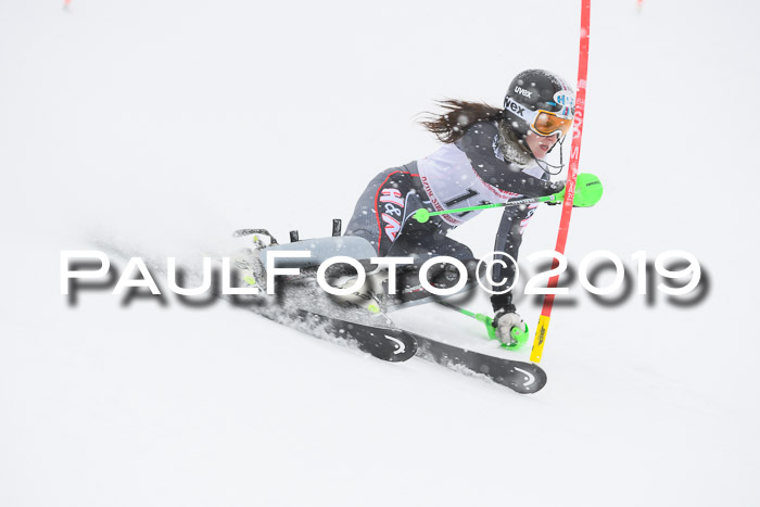 FIS  NJC Slalom Damen 26.01.2019