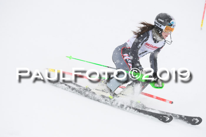 FIS  NJC Slalom Damen 26.01.2019