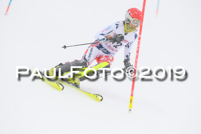 FIS  NJC Slalom Damen 26.01.2019